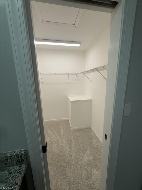 spacious closet featuring carpet flooring