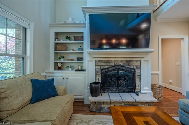 living room featuring crown molding, wood finished floors, and a fireplace