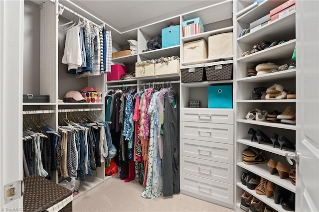 walk in closet featuring light carpet