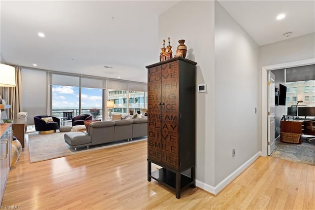 corridor featuring light hardwood / wood-style flooring and a healthy amount of sunlight