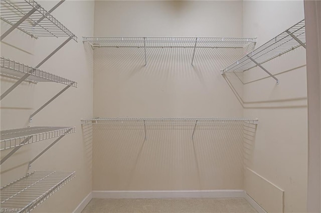 walk in closet with carpet