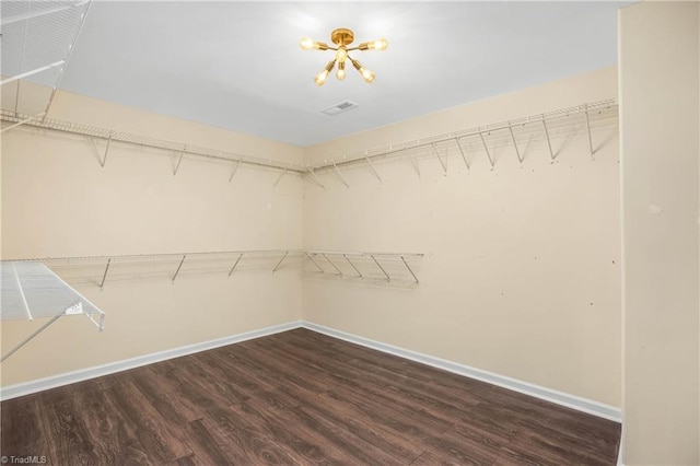 spacious closet with dark wood-type flooring