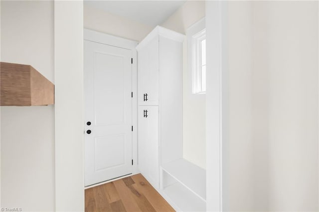 doorway to outside featuring light wood finished floors