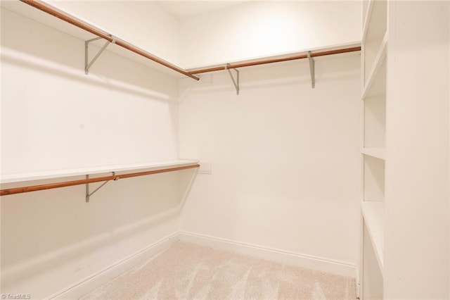 spacious closet featuring light colored carpet