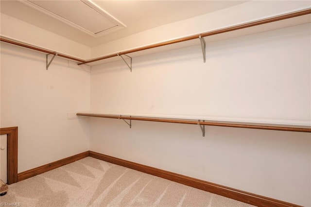 spacious closet with light carpet