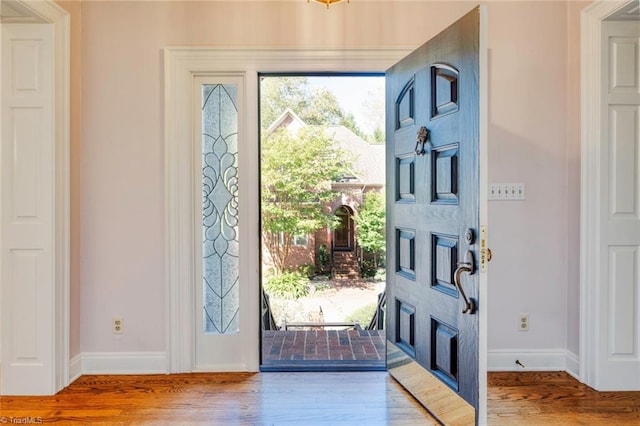 entrance foyer featuring wood-type flooring