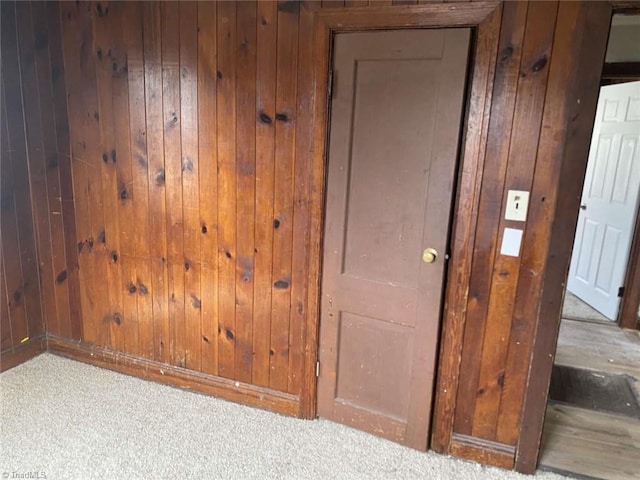 interior space with carpet flooring and wood walls