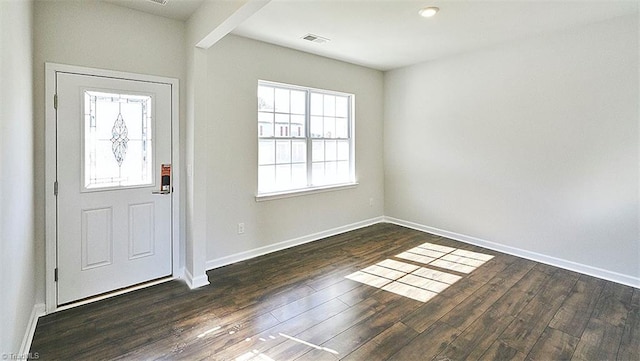 entryway with dark wood-type flooring and a wealth of natural light