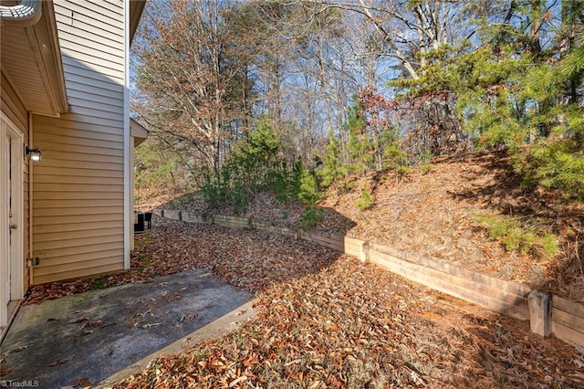 view of yard with a patio area