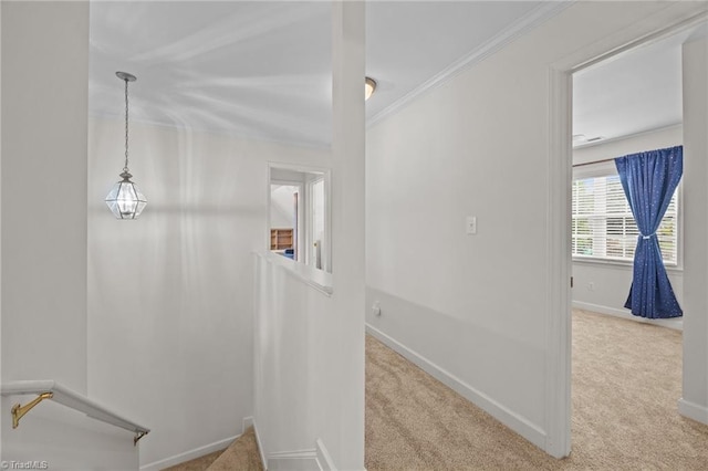 168 Redmeadow Dr, Advance, NC 27006 - corridor featuring carpet flooring and crown molding