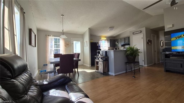 living area featuring vaulted ceiling, dark wood-type flooring, a textured ceiling, and a healthy amount of sunlight