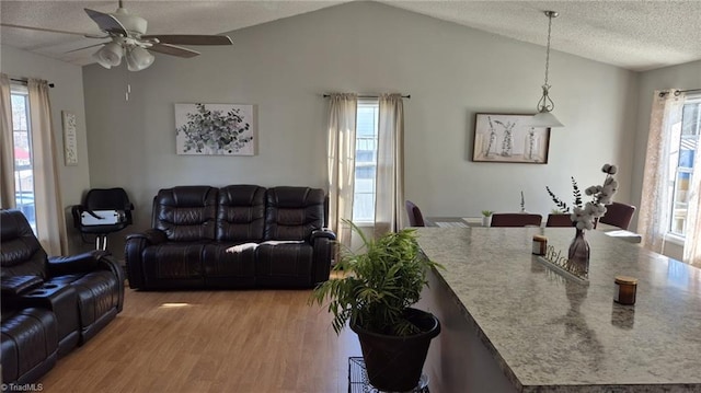 living area with a wealth of natural light, light wood-type flooring, lofted ceiling, and a textured ceiling