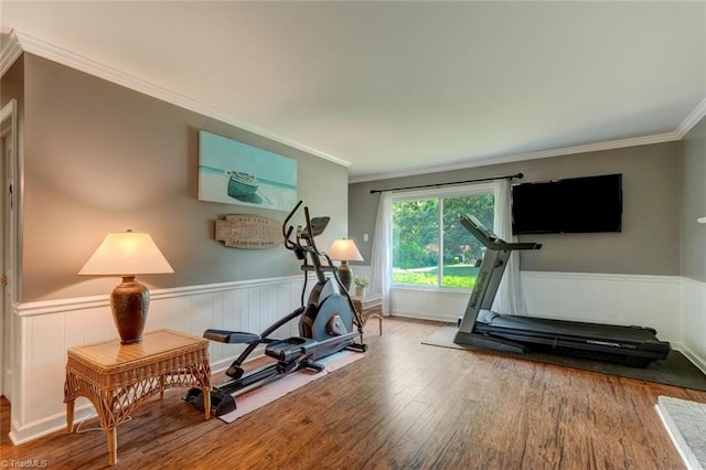 1274 Candlewood Dr, Elon, NC 27244 - workout room with wood finished floors, a wainscoted wall, and ornamental molding