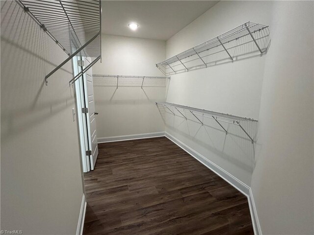 walk in closet featuring dark wood-type flooring