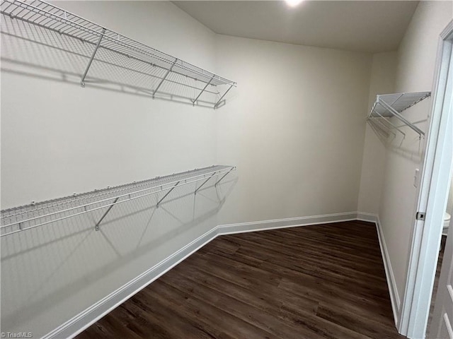 walk in closet featuring dark wood-type flooring