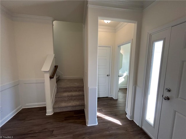 foyer featuring crown molding, plenty of natural light, and dark hardwood / wood-style floors