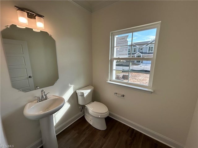 bathroom featuring sink, hardwood / wood-style flooring, and toilet