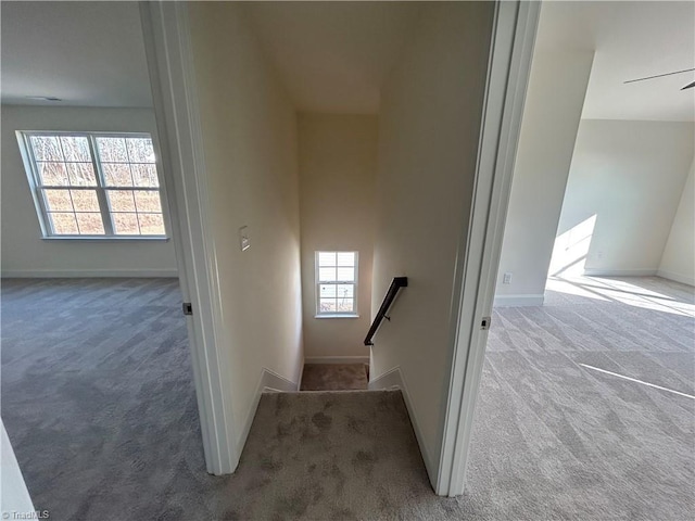 stairs featuring carpet