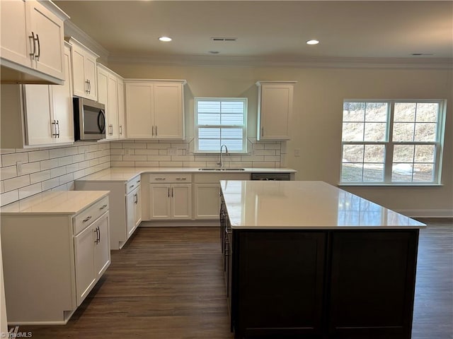 kitchen with sink, ornamental molding, and white cabinets