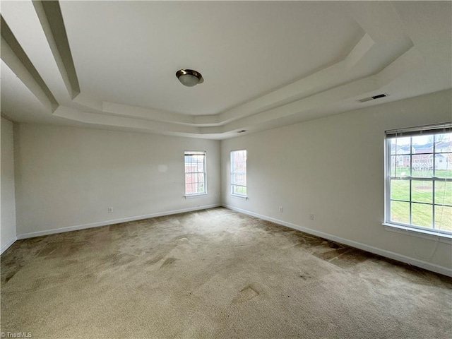 spare room with carpet and a raised ceiling