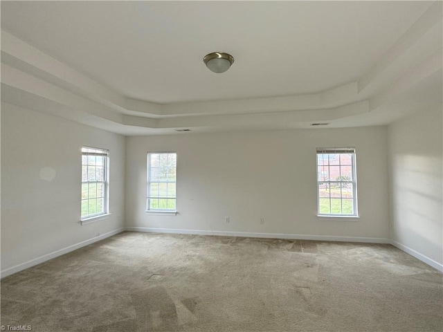 empty room featuring plenty of natural light, a raised ceiling, and carpet floors