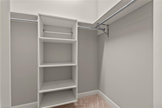 spacious closet with carpet