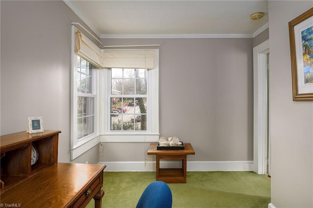 office area with carpet flooring, crown molding, and baseboards