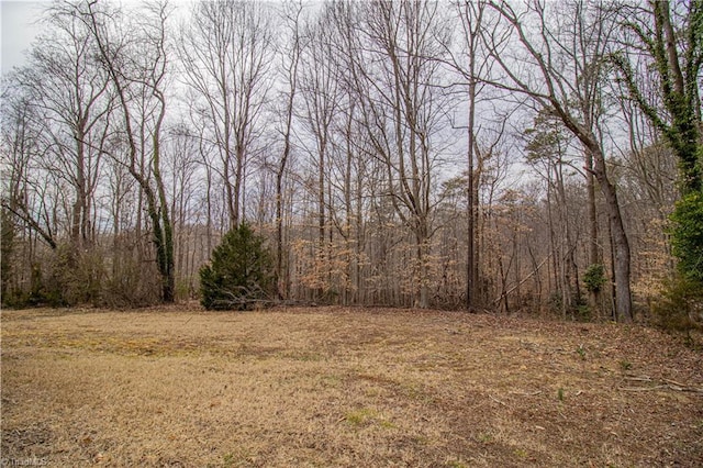 view of local wilderness featuring a wooded view