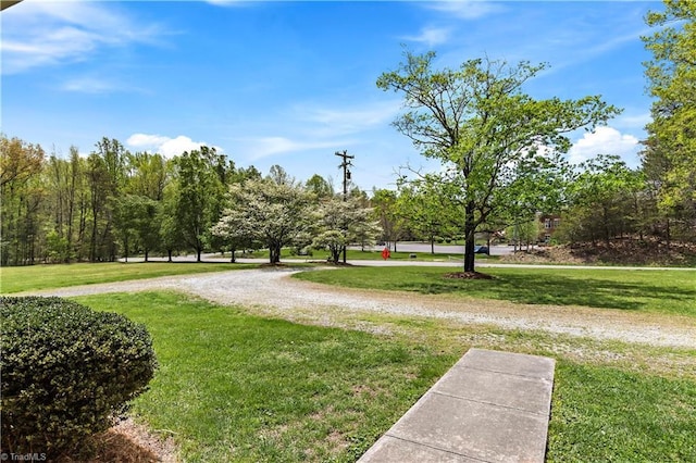 view of property's community with a lawn
