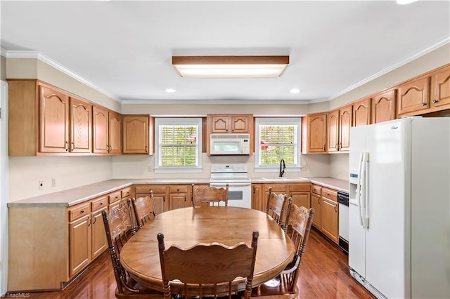 kitchen with plenty of natural light, dark wood-style flooring, a sink, and white appliances