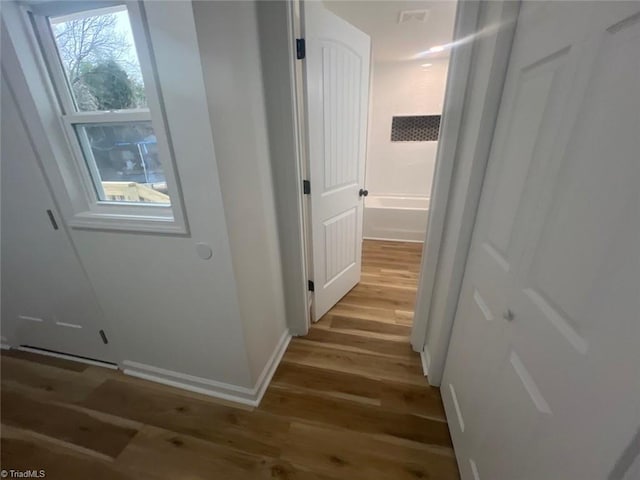 hallway with light wood-type flooring and plenty of natural light