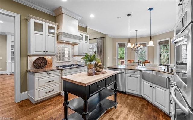 kitchen featuring dark wood-style flooring, premium range hood, appliances with stainless steel finishes, and a sink