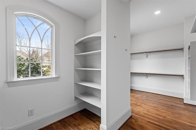 walk in closet featuring wood finished floors