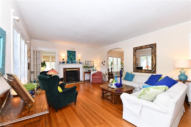 living room featuring light wood-type flooring and a fireplace