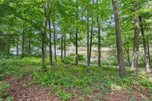 view of undeveloped land featuring a large body of water