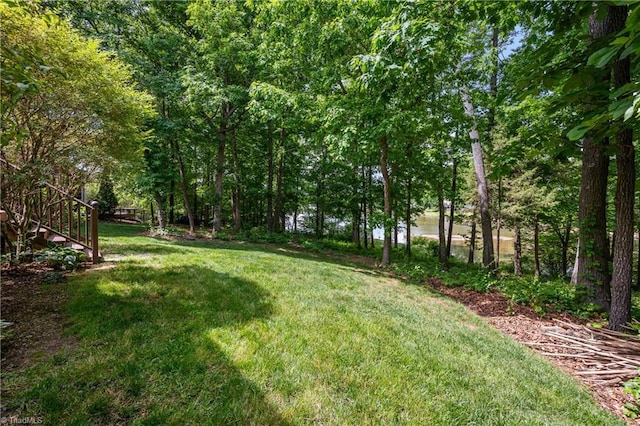 view of grassy yard