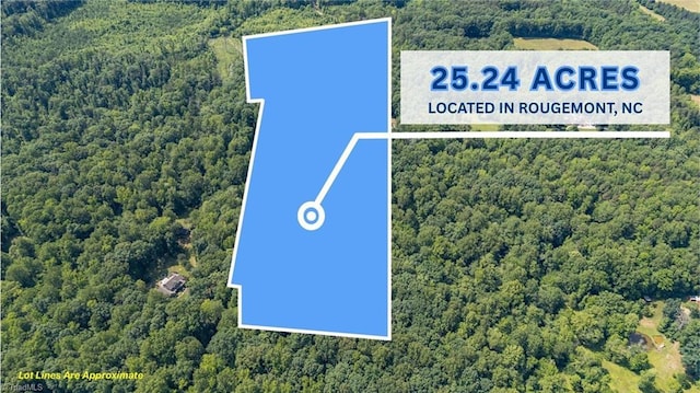 7849 Circle L Trl, Rougemont, NC 27572 - aerial view of property and surrounding area with a heavily wooded area and property boundaries highlighted