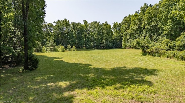 7849 Circle L Trl, Rougemont, NC 27572 - view of green lawn with a wooded view