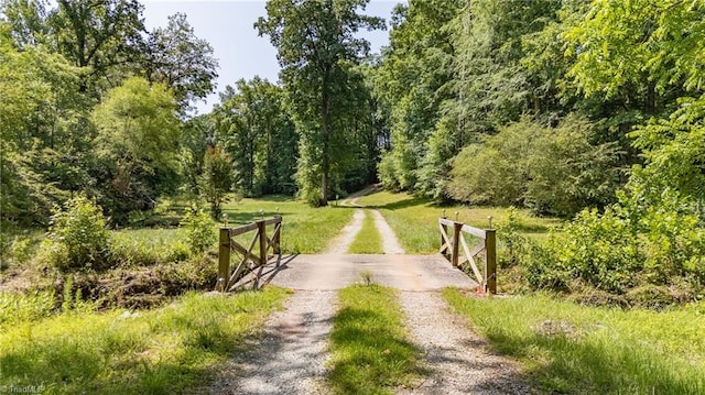 7849 Circle L Trl, Rougemont, NC 27572 - view of street with a forest view