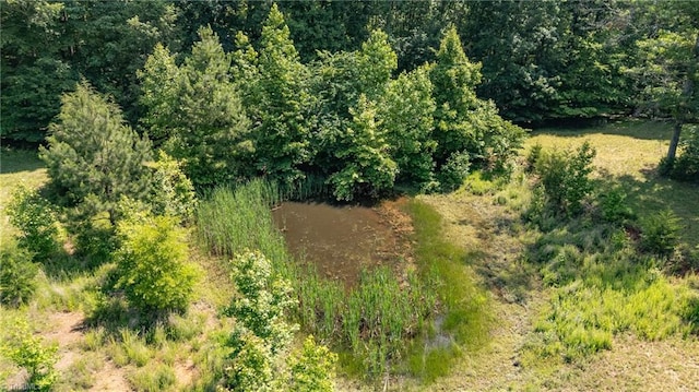 7849 Circle L Trl, Rougemont, NC 27572 - view of undeveloped land