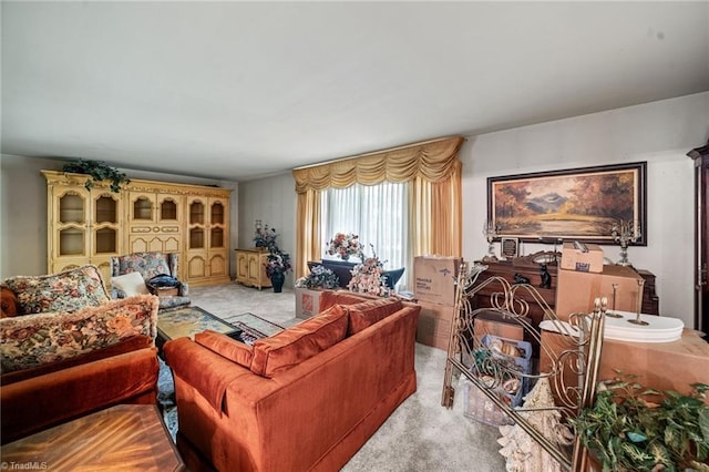 1204 Hobbs Rd, Greensboro, NC 27410 - living room featuring light colored carpet