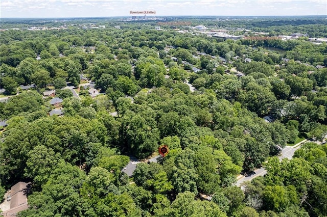1204 Hobbs Rd, Greensboro, NC 27410 - aerial view of a forest