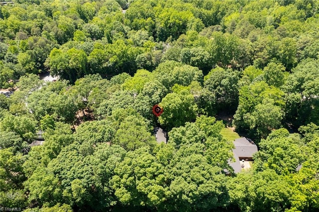 1204 Hobbs Rd, Greensboro, NC 27410 - aerial overview of property's location featuring a forest