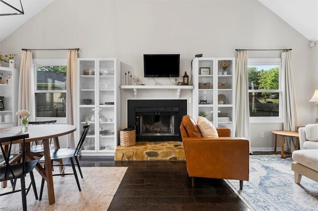 interior space featuring high vaulted ceiling, a fireplace with raised hearth, and wood finished floors