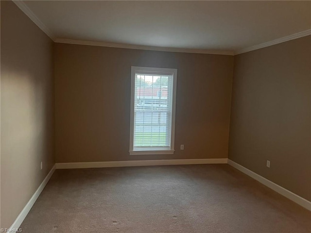 carpeted empty room featuring crown molding