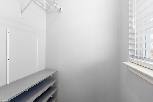 view of walk in closet