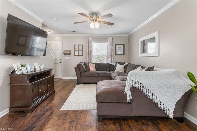 living room with ceiling fan, dark hardwood / wood-style flooring, and ornamental molding