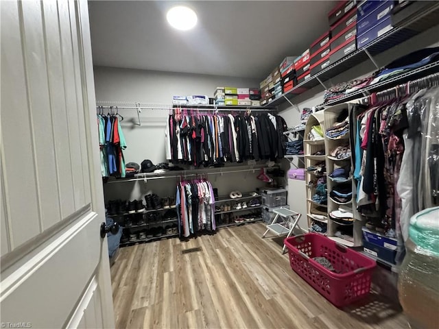 walk in closet with wood-type flooring