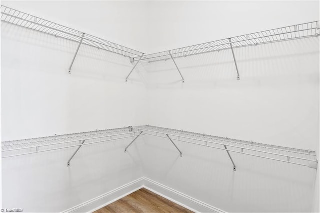 walk in closet featuring hardwood / wood-style flooring