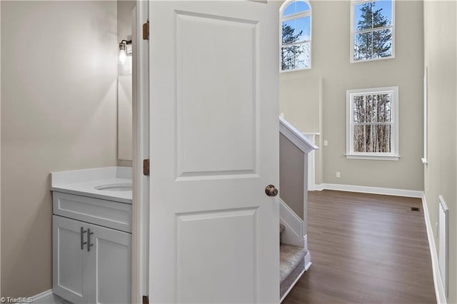 bathroom with vanity and hardwood / wood-style flooring